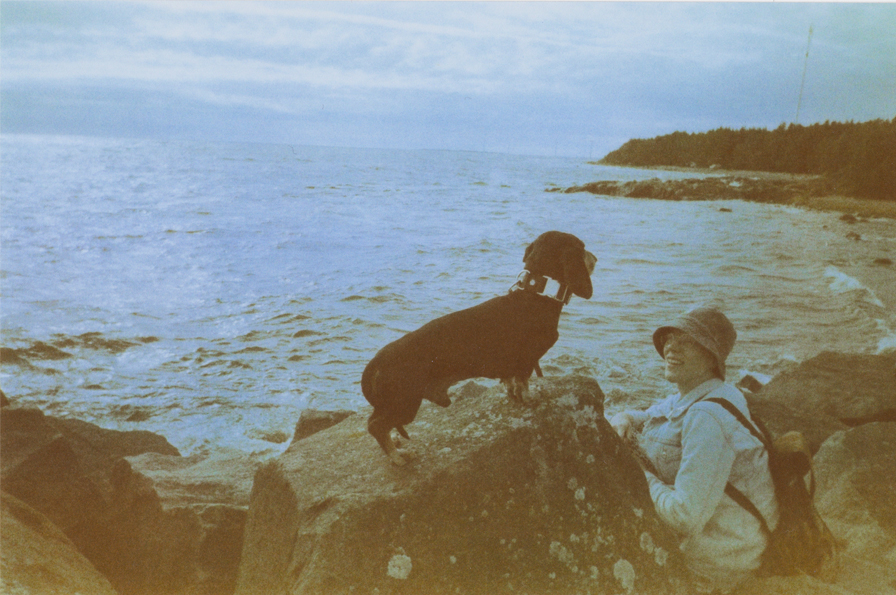 Dachshund standing on a block of granite on a breakwater, looking uncomfortable.